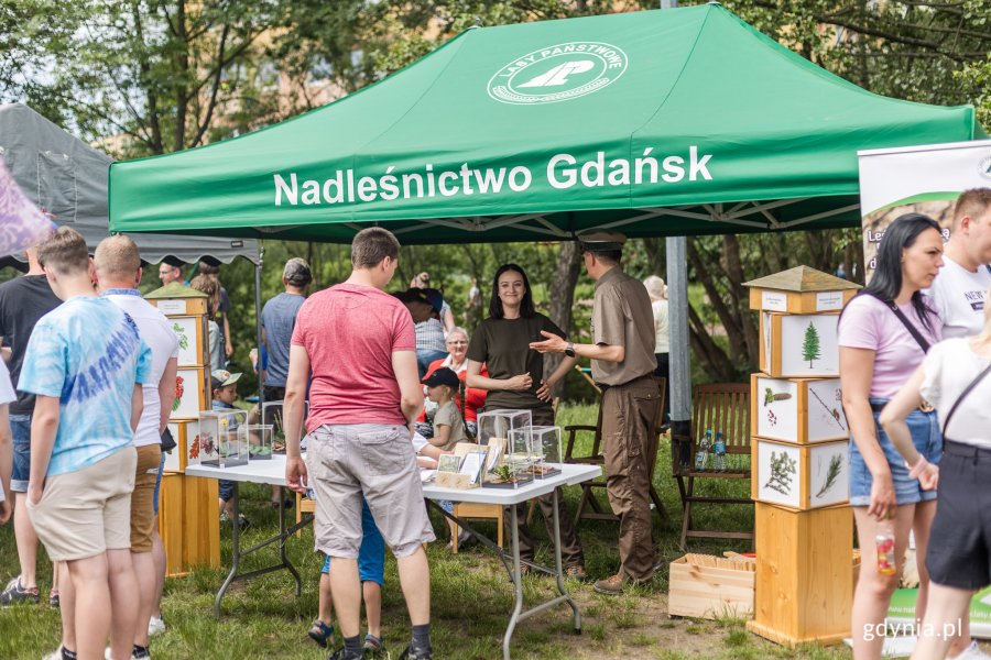 Stoisko Nadleśnictwa Gdańsk na festynie międzypokoleniowym w parku Kilońskim, a na nim m.in. szklane pojemniki z roślinami // fot. Karol Stańczak