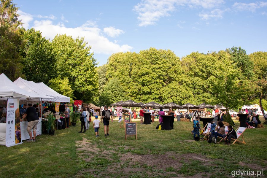 Miasteczko festiwalowe // fot. Paweł Kukla