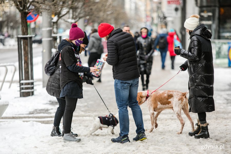 Wolontariusze na ulicach Gdyni podczas 29. finału WOŚP, fot. Karol Stańczak