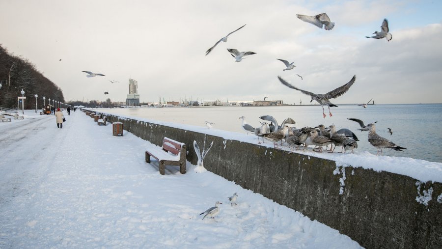 Gdynia zimą