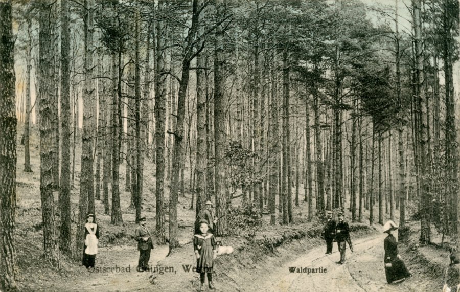 Stara pocztówka Gdyni. Ludzie spaceruja w lesie.