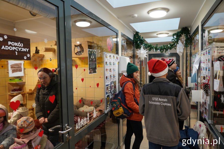 Kilka os&oacute;b w kociarni