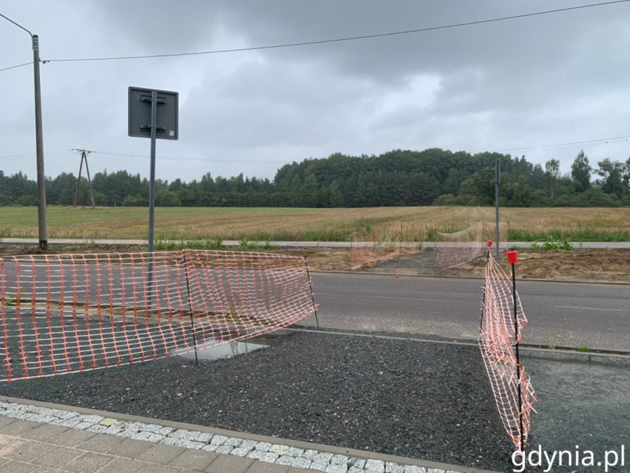 Przebudowa ul. Wiczlińskiej