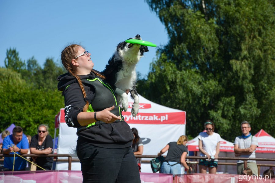 Latające Psy w gdyńskim parku Kolibki // fot. Paweł Kukla