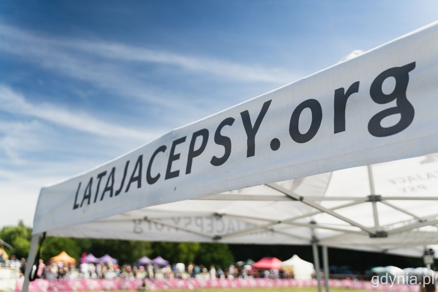 „Latające psy” w parku w Kolibkach - dzień pierwszy (sobota), fot. Kamil Złoch