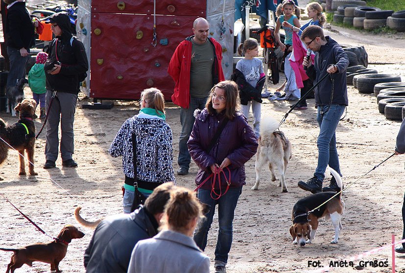 Psie fikołki - festyn edukacyjny "Pies w wielkim mieście" 7.10.2012