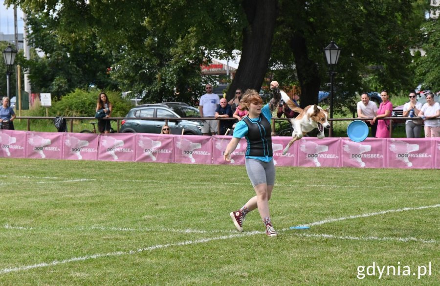 Właścicielka rzuca psu frisbee