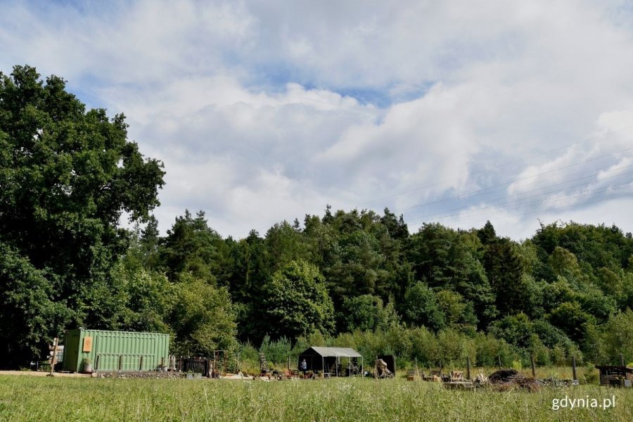 "Gdyńskie korzenie" powstały w dzielnicy Chwarzno-Wiczlino. // fot. Weronika Rozbicka