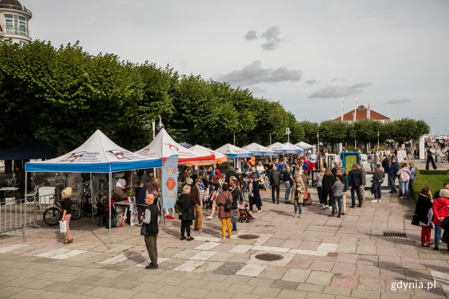 Stoiska informacyjne instytucji i organizacji rozstawione pod parasolami na skwerze Kuracyjnym w Sopocie z okazji Dni Solidarności z Osobami Chorującymi Psychicznie, Obok nich stoją uczestnicy akcji // fot. Karol Stańczak