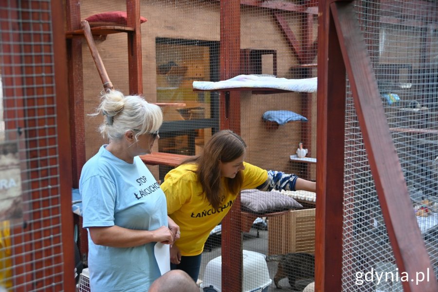 Prezydent Gdyni Aleksandra Kosiorek i Ewa Gebert, prezes Stowarzyszenia OTOZ Animals spacerują wśród piesków w „Ciapkowie”