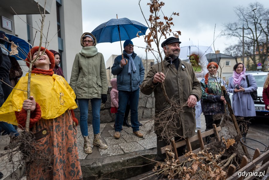 Sadzenie drzew na Kamiennej Górze 