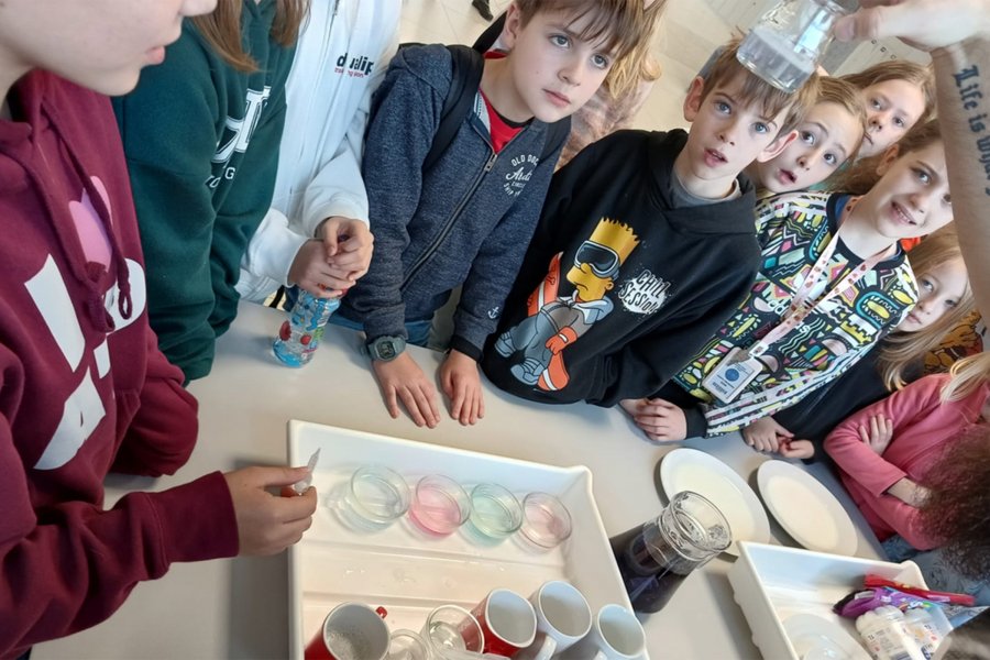 Szkolny Festiwal Nauki w Gdyni! Na zdjęciu prezentacje w SP 37 (fot. SP 37)    