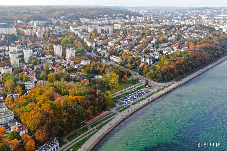 Widok z lotu ptaka na bulwar Nadmorski i skwer Arki Gdynia oraz rosnące tam drzewa w jesiennej szacie. W tle al. Marsz. Piłsudskiego i pobliskie budynki // fot. Michał Puszczewicz