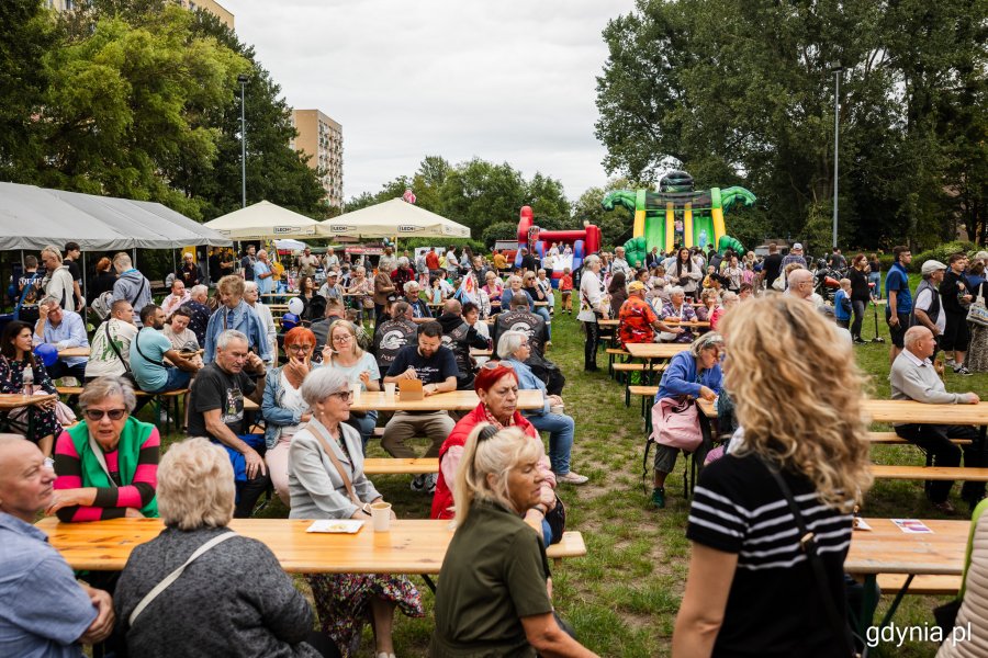 Mieszkańcy na festynie w parku Kilońskim (fot. Karol Stańczak)