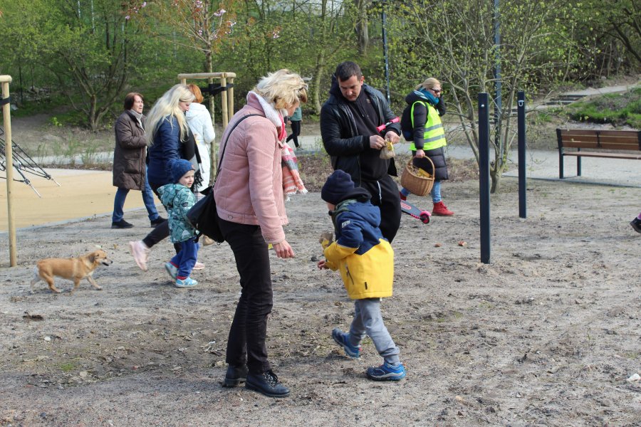 Sianie łąki kwietnej na witomińskiej polanie // fot. materiały prasowe LIS