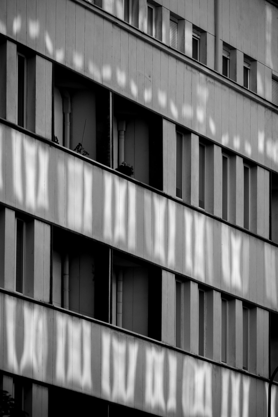 fot. Joanna Chmielewska