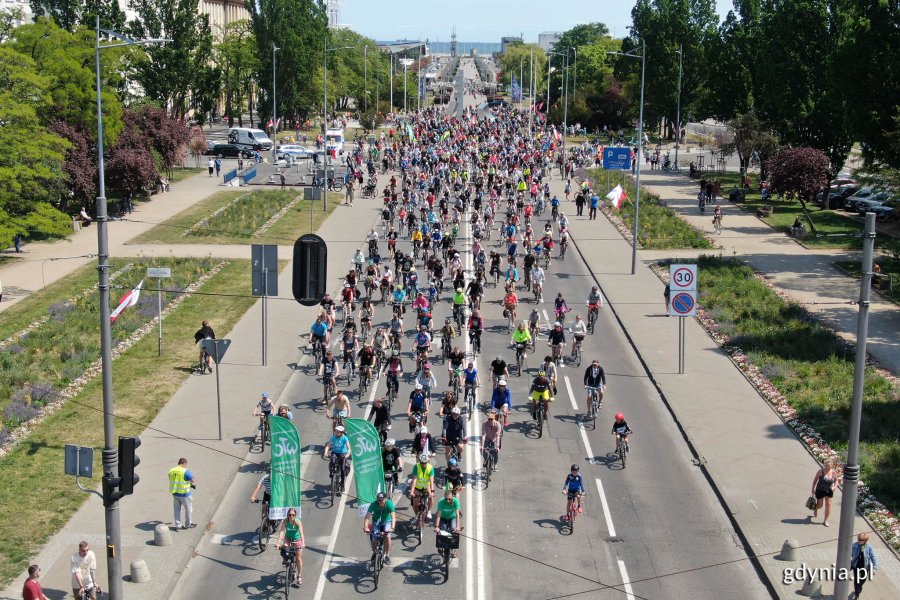 Grupa rowerzystów na ulicach Gdyni