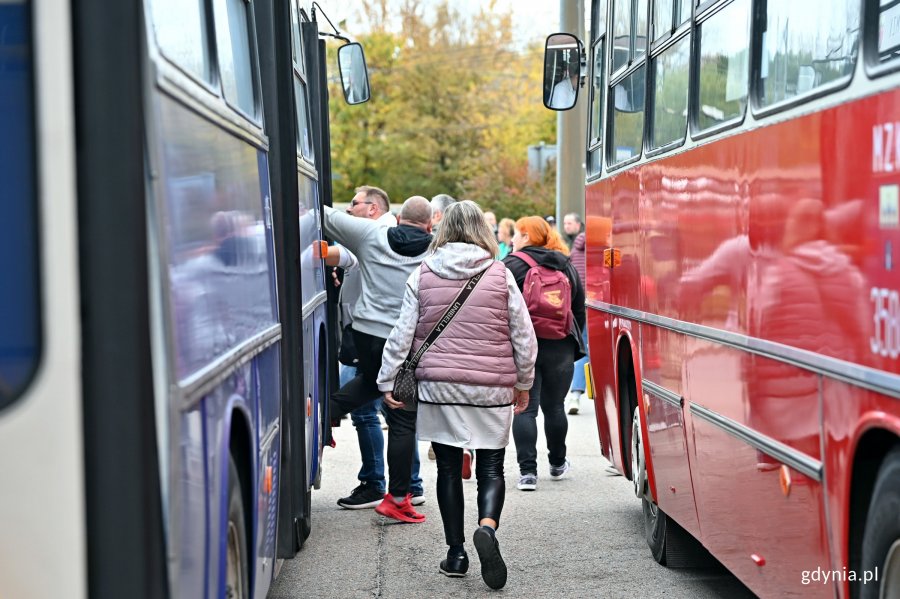 Pasażerowie oglądający zabytkowe Ikarusy 