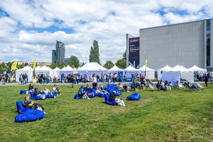 IV Wielokulturowy Piknik Rodzinny na Placu Grunwaldzkim (fot. Piotr Żagiell)