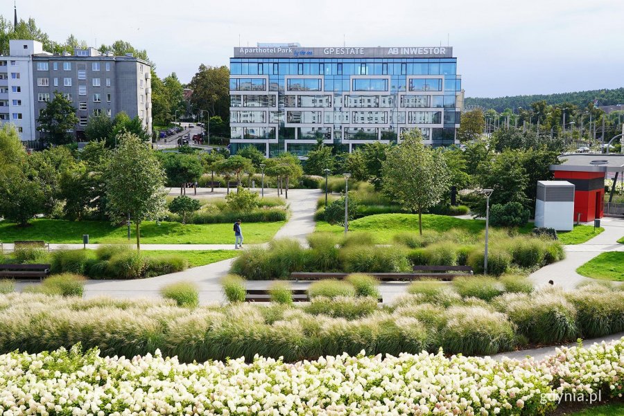 na zdjęciu Park Centralny