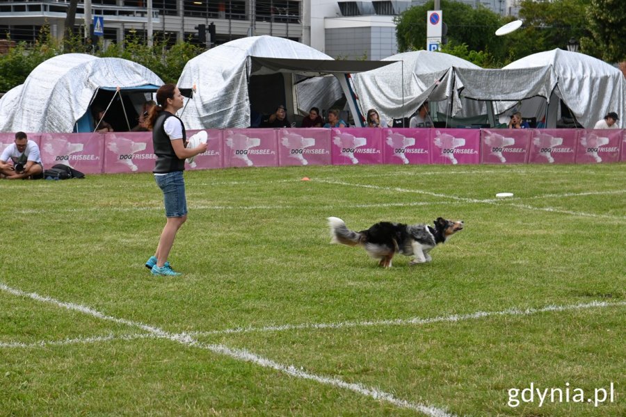 Właścicielka rzuca psu frisbee