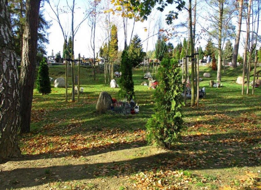 Kwatera leśna ma zielone podłoże, jest otoczona drzewami, a nagrobki to... głazy narzutowe, fot. Zarząd Cmentarzy Komunalnych w Gdyni
