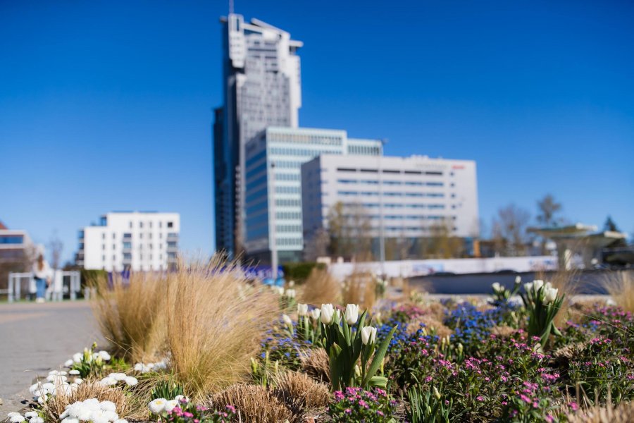 (fot. Paweł Budziński)