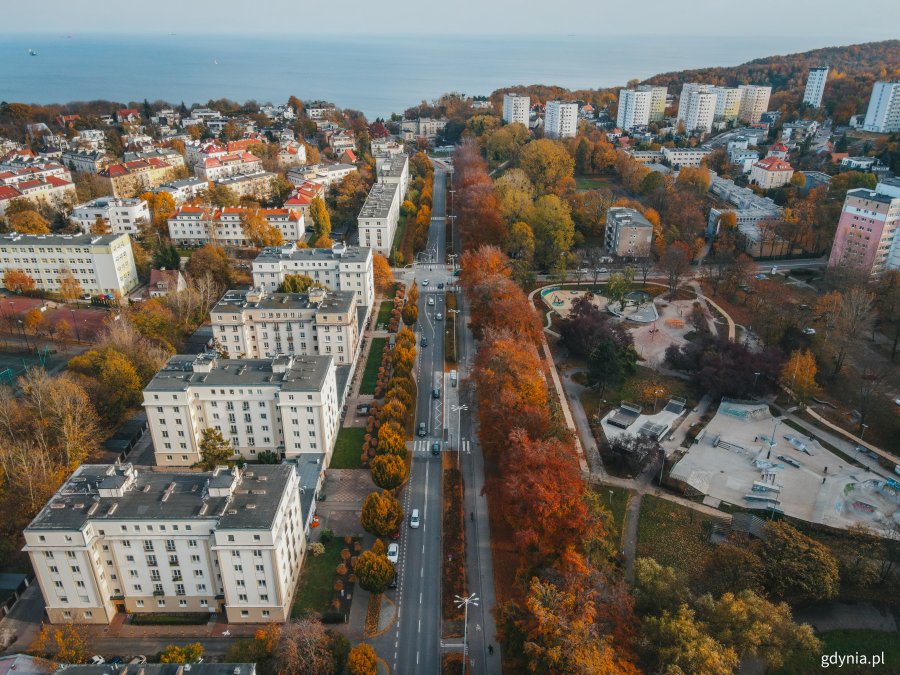 Al. Marsz. Piłsudskiego widziana z góry. Po prawej stronie fragment Parku Centralnego // fot. Marcin Mielewski