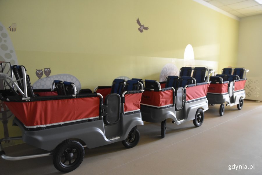 W ramach rozbudowy zakupiono wózki sześcioosobowe dla dzieci // fot. Magdalena Czernek
