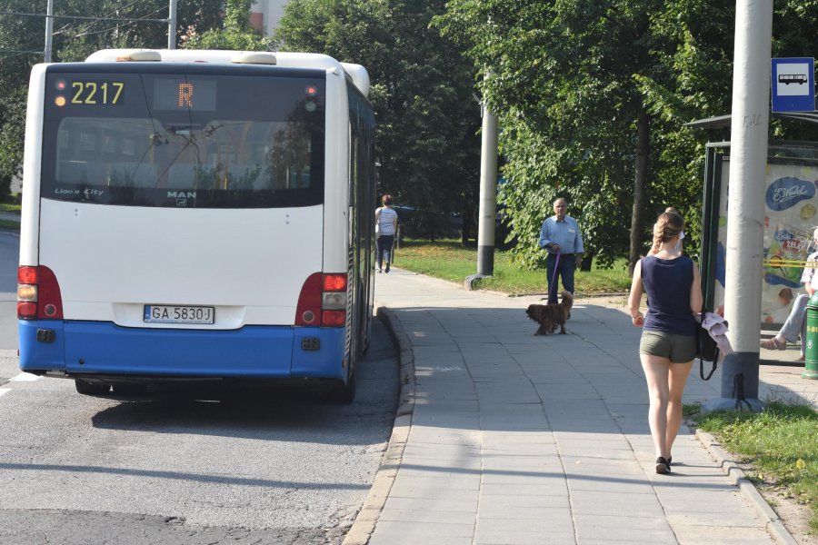 Przystanek "Kameliowa" w kierunku centrum  // fot. Lechosław Dzierżak