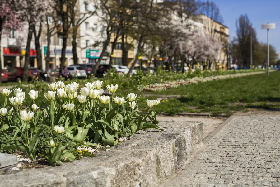 Róg ul. 10 lutego i Skweru Kościuszki
