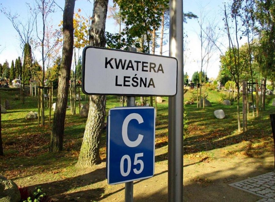 Kwatera leśna ma zielone podłoże, jest otoczona drzewami, a nagrobki to... głazy narzutowe, fot. Zarząd Cmentarzy Komunalnych w Gdyni