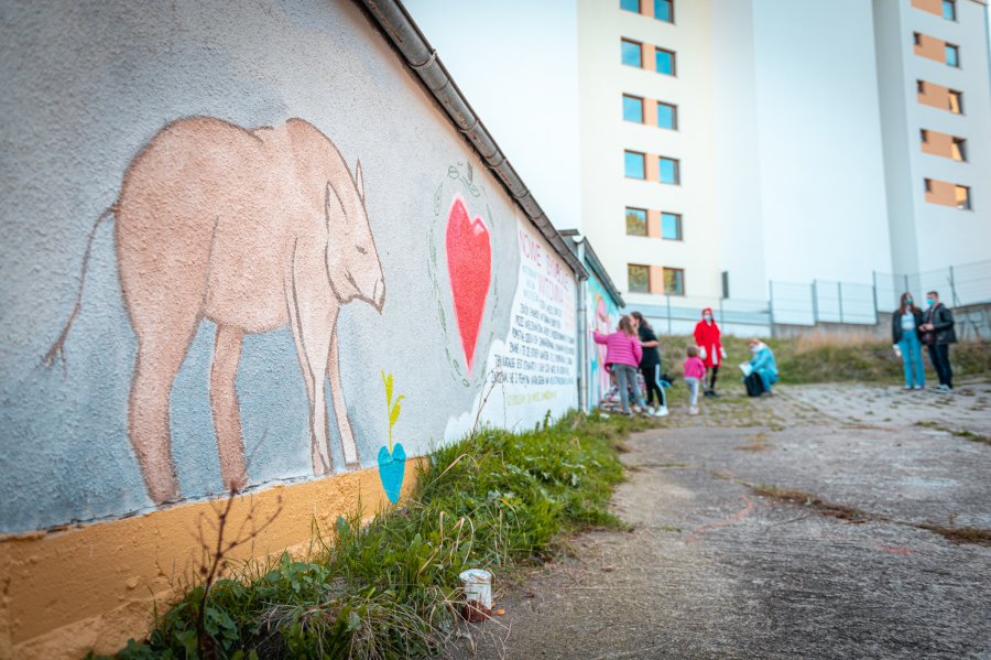 Mural przy ul. Uczniowskiej stworzyli mieszkańcy Witomina // fot. Jacek Klejment