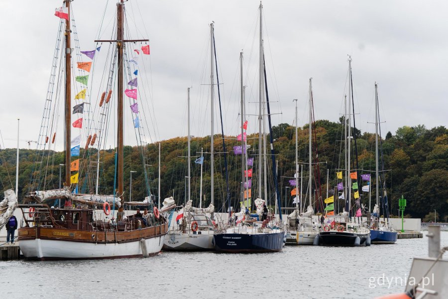 Żaglowce w marinie w Gdyni