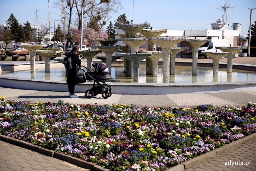 Kwiaty na miejskich rabatach, w tle fontanna i kobieta z wózkiem.