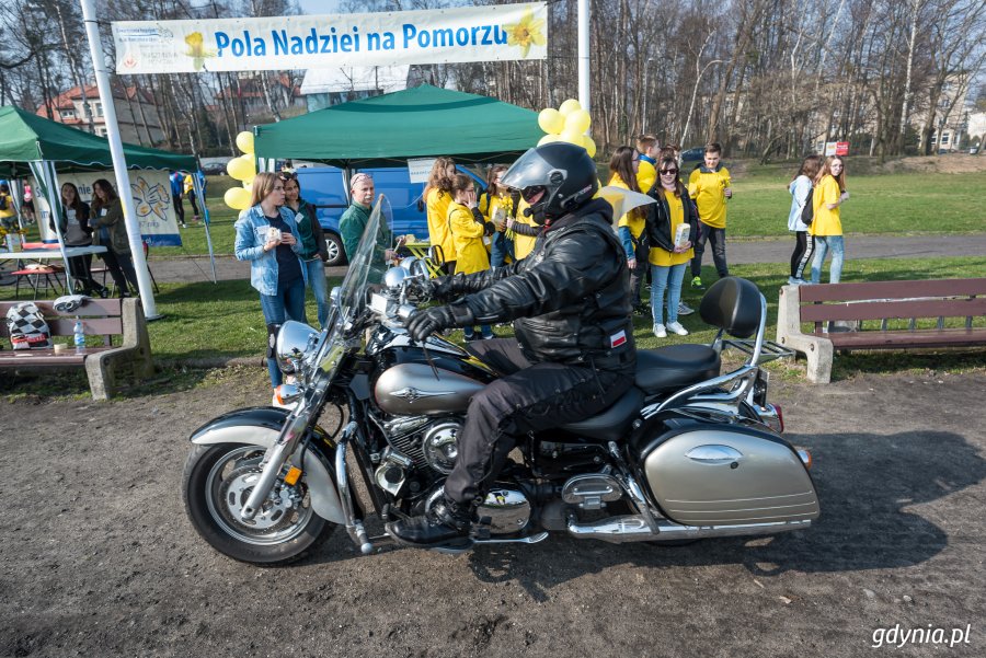 Pola Nadziei 2017 w Gdyni // fot. D. Linkowski