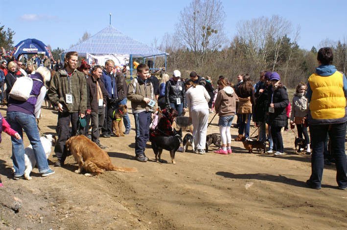 Rodzinny spacer z psami w ramach wydarzenia zorganizowany został "Maraton z psem"