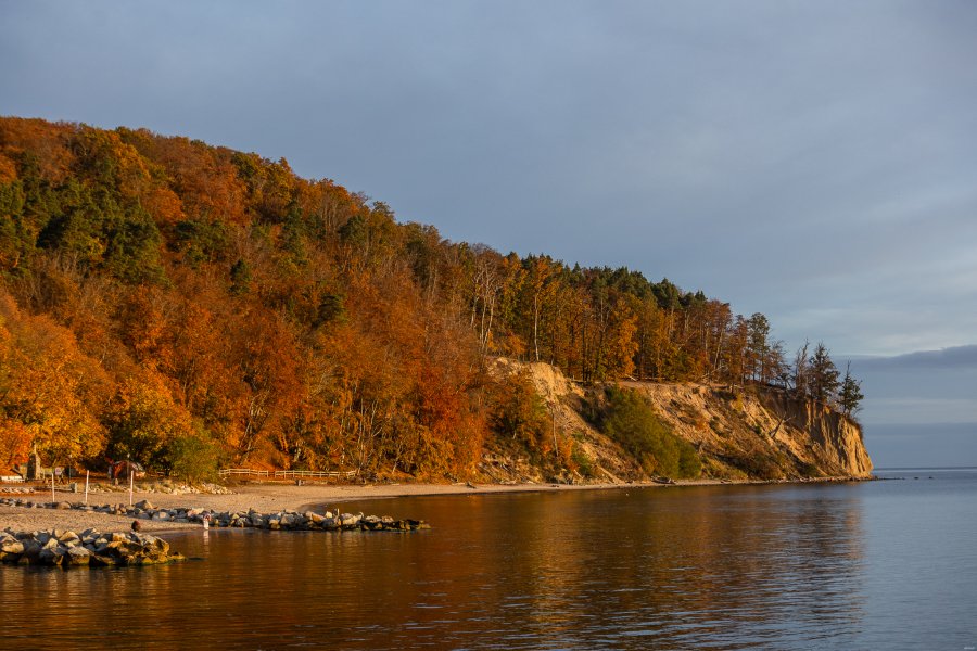 Barwy jesieni. Gdynia Orłowo // fot. Karol Stańczak 