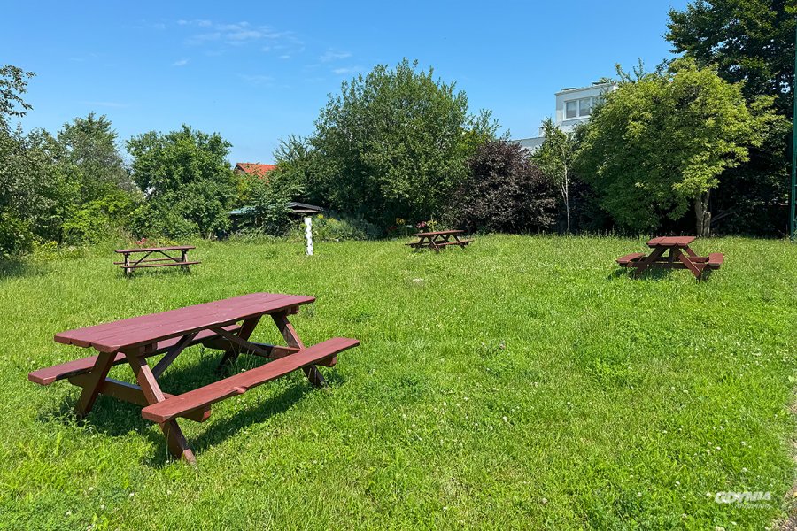 Teren zielony, z ławkami na trawie i drzewami w tla