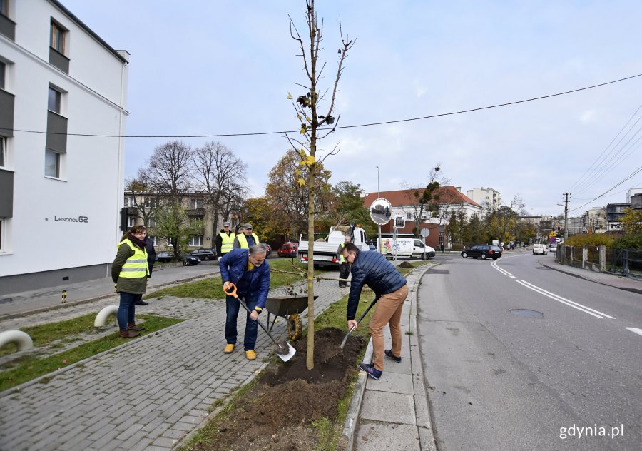 Symboliczne sadzenie nowych drzew przy ulicy Legionów, fot. Kamil Złoch