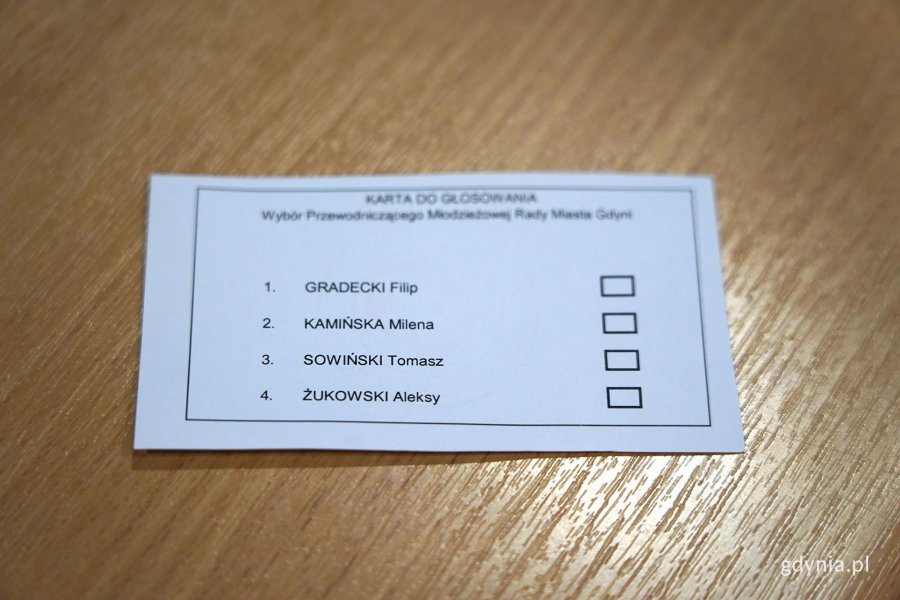 na zdjęciu awers karty do głosowania