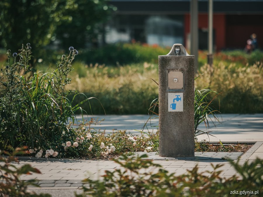 zdó uliczny na terenie parku, widoczne urządzenie z symbolem poidełka