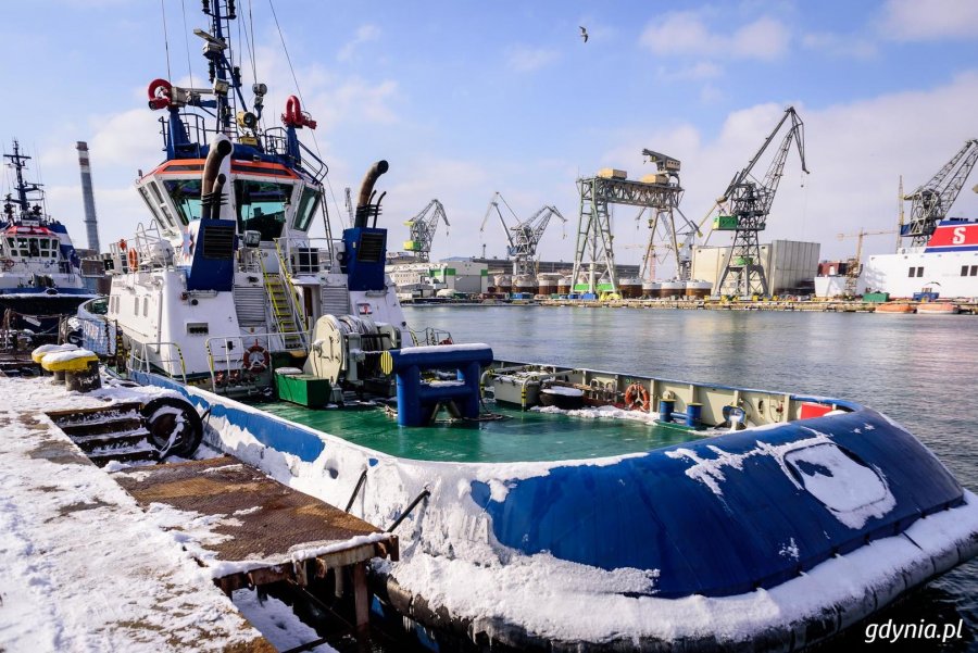 Gdyński port od kuchni // fot. Dawid Linkowski