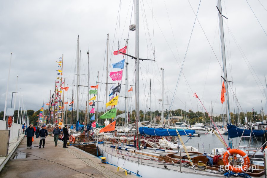 Jachty i grupa ludzi w Marinie Gdynia