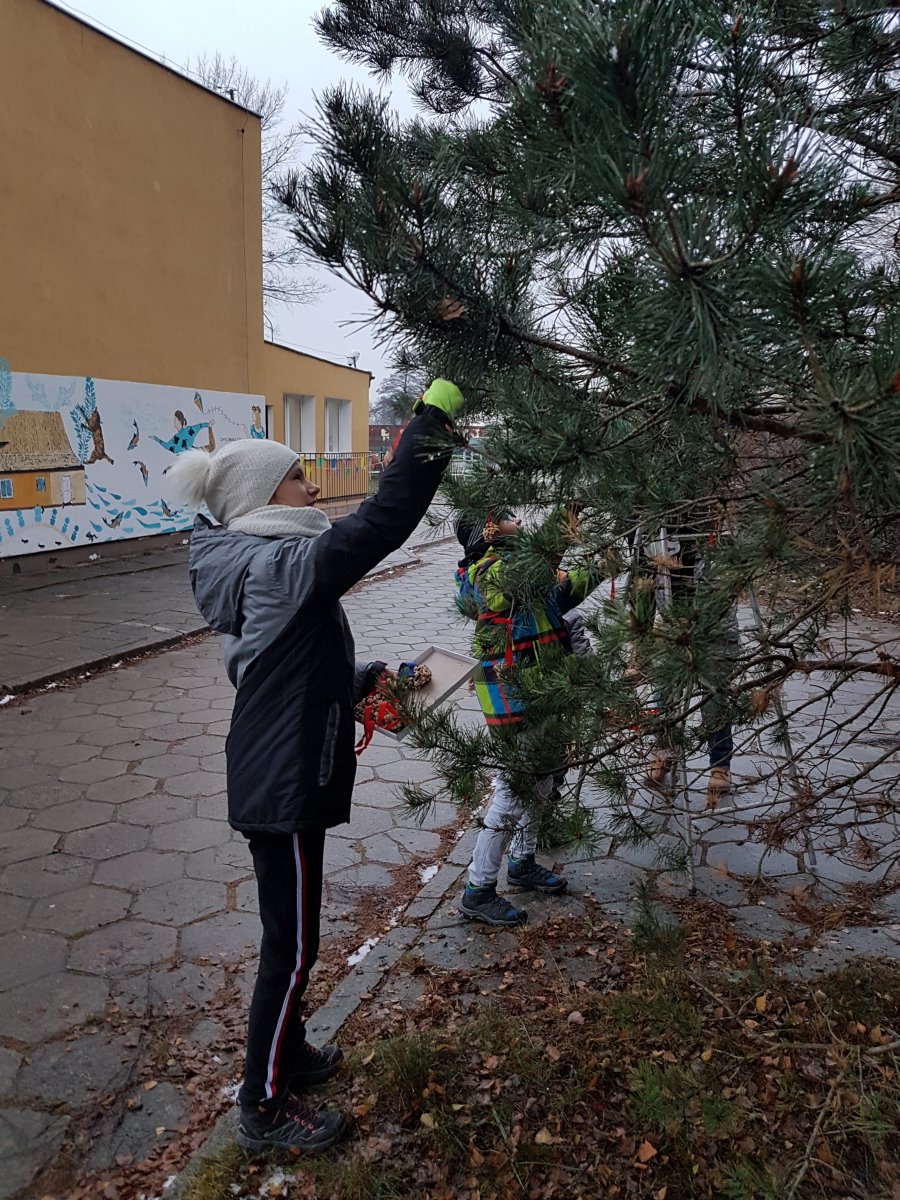 Ubieranie choinki dla ptaków, fot. Katarzyna Mejna (LIS)