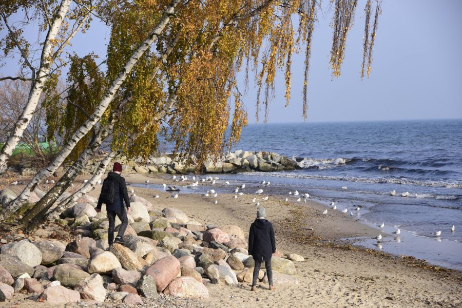 Gdynia w kolorach jesieni, fot. Jan Ziarnicki