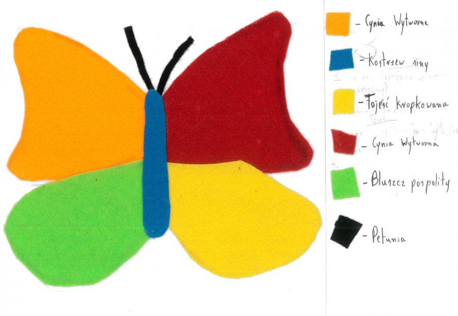 Praca „Kolorowo – kwiatowy motyl” Hanny Skoczek z Młodzieżowego Domu Kultury za pracę