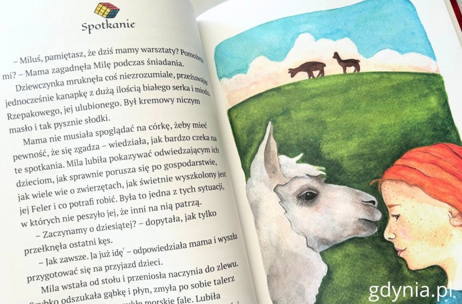 Akwarelowe ilustracje autorstwa Moniki Kuropatnickiej (fot. Magdalena Starnawska)