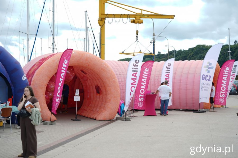 Makieta 3D jelita grubego podczas Gdynia Sailing Gdynia (fot. Magdalena Starnawska)