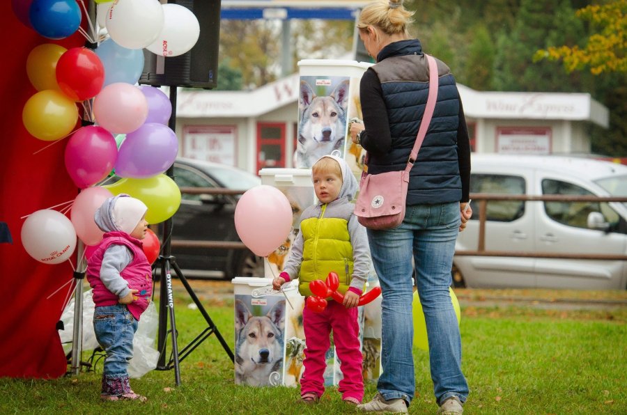 Psie Fikołki 11.10.2014